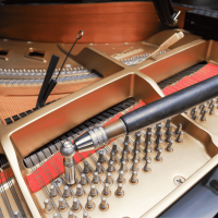 Standard (Fine) Tuning